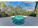 The home's outdoor screened-in pool features a unique shape, surrounded by lush landscaping, offering a peaceful escape at 3751 Eagle Hammock Dr, Sarasota, FL 34240