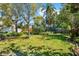 Expansive backyard featuring a lush green lawn, mature trees, and a garden area, perfect for outdoor activities at 503 Park Dr, Bradenton, FL 34209