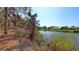 Picturesque view of the pond showcasing the lush surroundings at 515 Rousseau Dr, Nokomis, FL 34275