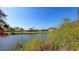 Scenic pond view framed by lush vegetation with homes visible in the background at 515 Rousseau Dr, Nokomis, FL 34275