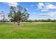 Scenic golf course with lush green grass, mature trees and glimpses of deer at 6919 Winners Cir, Lakewood Ranch, FL 34202