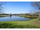 Scenic view of a serene pond surrounded by lush greenery and mature trees at 6919 Winners Cir, Lakewood Ranch, FL 34202