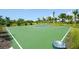 Outdoor community basketball court with green surface and lush landscaping, with trees providing some shade at 12716 Dusty Trail Dr, Sarasota, FL 34238