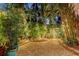Inviting backyard space featuring ambient string lights, lush greenery, and paver patio at 1631 Loma Linda St, Sarasota, FL 34239