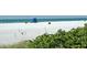 Scenic view of a pristine white sand beach with a lifeguard tower, framed by green foliage in the foreground at 1631 Loma Linda St, Sarasota, FL 34239