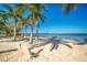 Sandy beach with palm trees, a waterfront view, and a stylish concrete bench, offering a peaceful place to relax at 501 Haben Blvd # 204, Palmetto, FL 34221