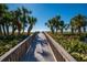 Experience direct beach access via a private wooden walkway lined with palm trees and coastal vegetation on a sunny day at 5780 Midnight Pass Rd # 210, Sarasota, FL 34242