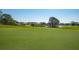 Golf course with lush greenery and homes, creating a serene backdrop for play at 7015 Stanhope Pl, University Park, FL 34201