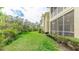 Spacious backyard with lush green grass and a screened in porch running along the back of the house at 8043 St Simons St, Bradenton, FL 34201