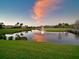 Scenic pond view featuring a fountain, lush greenery, and a serene atmosphere at 10509 Winding Stream Way, Bradenton, FL 34212