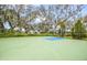 Outdoor community basketball court with a green playing surface, set against a backdrop of trees at 10914 Blue Magnolia Ln, Parrish, FL 34219