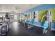 Onsite gym with treadmills, bikes, weight machines, wall decor and wall-mounted televisions at 10914 Blue Magnolia Ln, Parrish, FL 34219