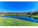 A pond is framed by a large lawn and abundant trees and greenery on the horizon at 13630 Deep Blue Pl, Bradenton, FL 34211