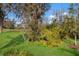 View of the lush green backyard with a view of the pond and beautiful trees at 3024 Sky Blue Cv, Bradenton, FL 34211