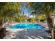 Inviting community pool area featuring ample lounge seating and mature landscaping at 3024 Sky Blue Cv, Bradenton, FL 34211