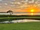 Scenic water view with a tree-lined landscape and a vibrant sunset, creating a serene and picturesque scene at 4734 Independence Dr # 4734, Bradenton, FL 34210
