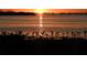 Stunning waterfront view with vibrant sunset and serene birds on water at 4734 Independence Dr # 4734, Bradenton, FL 34210