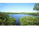 Serene lake view framed by lush green foliage on a clear, sunny day at 4920 Kestral Park Cir # 11, Sarasota, FL 34231