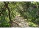 Wooded walking path with gravel, surrounded by lush trees and palms, casting shadows on the ground at 4920 Kestral Park Cir # 11, Sarasota, FL 34231