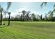 A lush green lawn with well-maintained landscaping and mature trees offers a serene outdoor space at 5283 Chase Oaks Dr, Sarasota, FL 34241