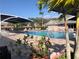 Serene swimming pool with lounge chairs, clear water, and lush greenery, creating a resort-like atmosphere at 5712 Cottonwood St, Bradenton, FL 34203