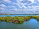 Expansive water views with lush greenery and buildings in the distance on a beautiful day at 10520 Boardwalk Loop # 205, Lakewood Ranch, FL 34202
