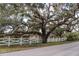 Scenic view of a large, moss-draped tree adjacent to a white fence along a quiet road at 1510 Lena Ln, Sarasota, FL 34240