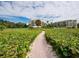 Scenic walkway through lush foliage leading to stunning residences and beautiful sky at 2185 Gulf Of Mexico Dr # 245, Longboat Key, FL 34228