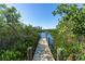 Dock and water view surrounded by dense trees and greenery at 310 79Th Nw St, Bradenton, FL 34209