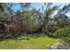 Backyard with mature trees and lush tropical foliage at 3116 Woodland Fern Dr, Parrish, FL 34219