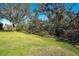 Sprawling backyard featuring lush green grass, mature trees, and dense foliage at 3116 Woodland Fern Dr, Parrish, FL 34219