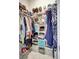 Organized walk-in closet featuring shelves, hanging rods, and storage cubes, maximizing space for clothing and accessories at 5313 Halewood Ct, Bradenton, FL 34211