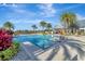 Community pool area featuring lounge chairs, palm trees, and blue sky at 12026 Perennial Pl, Bradenton, FL 34211