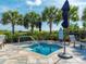 Relaxing hot tub area with palm trees, lounge chairs, umbrellas, and landscaped surroundings at 12404 Golden Sage Dr, Sarasota, FL 34238