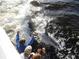 A dolphin jumps out of the water near a boat with cheering people at 5007 Palermo Dr, Punta Gorda, FL 33950