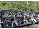 A row of golf carts, ready to assist with your game in this golf course community at 7017 Lennox Pl, University Park, FL 34201