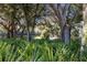 Picturesque pond view with lush greenery in a tranquil setting at 7017 Lennox Pl, University Park, FL 34201