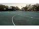 Community basketball court with multiple hoops, green surface, and lush surroundings at 1838 Sandalwood Dr, Sarasota, FL 34231