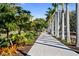Scenic walking path lined with palm trees and lush greenery at 750 N Tamiami Trl # 407, Sarasota, FL 34236