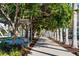 Picturesque walking path shaded by mature trees and leading to seating areas at 750 N Tamiami Trl # 407, Sarasota, FL 34236