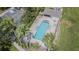 Aerial view of a community pool surrounded by palm trees and lounge chairs, perfect for relaxing at 8850 Christie Dr, Largo, FL 33771