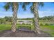 Backyard view of a bench, palms and a scenic lake at 11050 Sandhill Preserve Dr, Sarasota, FL 34238