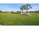 Beautiful backyard featuring lush green lawn, mature palm trees, and serene lake view at 11050 Sandhill Preserve Dr, Sarasota, FL 34238