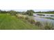 Scenic lake view from backyard showcasing lush grass and a variety of wetland vegetation at 11050 Sandhill Preserve Dr, Sarasota, FL 34238