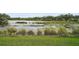 Picturesque lake view from backyard with lush grass and wetland vegetation at 11050 Sandhill Preserve Dr, Sarasota, FL 34238