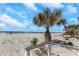 Scenic beach access with lush vegetation and breathtaking ocean views at 1300 Gulf Blvd # 202, Indian Rocks Beach, FL 33785
