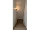 Carpeted staircase leading down from a well-lit hallway with updated light fixture at 216 Amherst Ave # 97, Sarasota, FL 34232