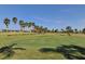 Scenic golf course view with palm trees and manicured green, offering a relaxing outdoor experience at 2320 Terra Ceia Bay Blvd # 808, Palmetto, FL 34221