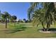 Scenic view of the golf course lined with palm trees under a clear blue sky at 2320 Terra Ceia Bay Blvd # 808, Palmetto, FL 34221