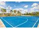 Bright blue community basketball court with well-maintained surface, hoops, and surrounding landscaping at 3711 Manorwood Loop, Parrish, FL 34219